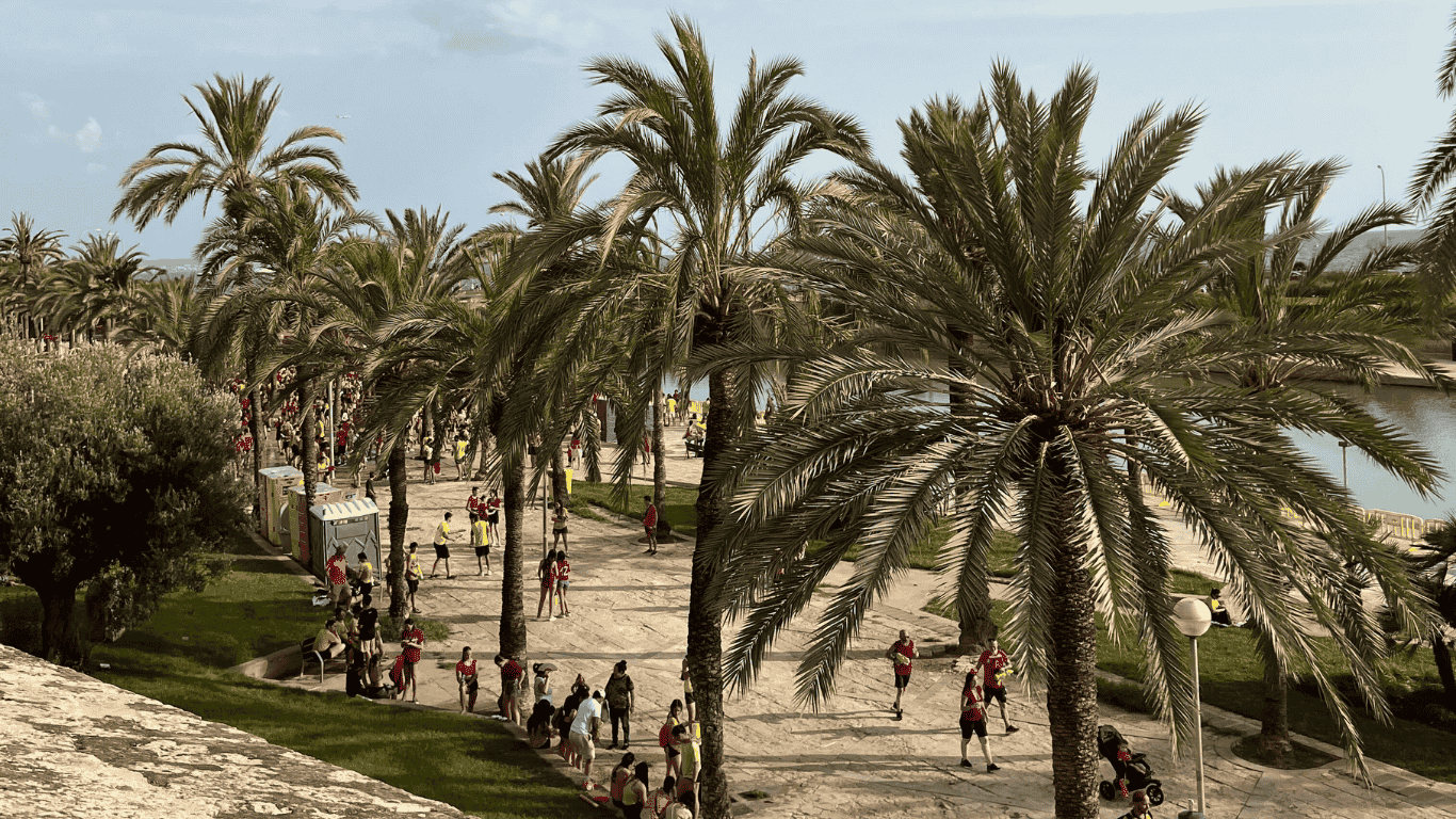 Mallorca 3